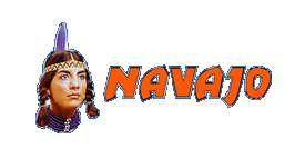 Navajo Express